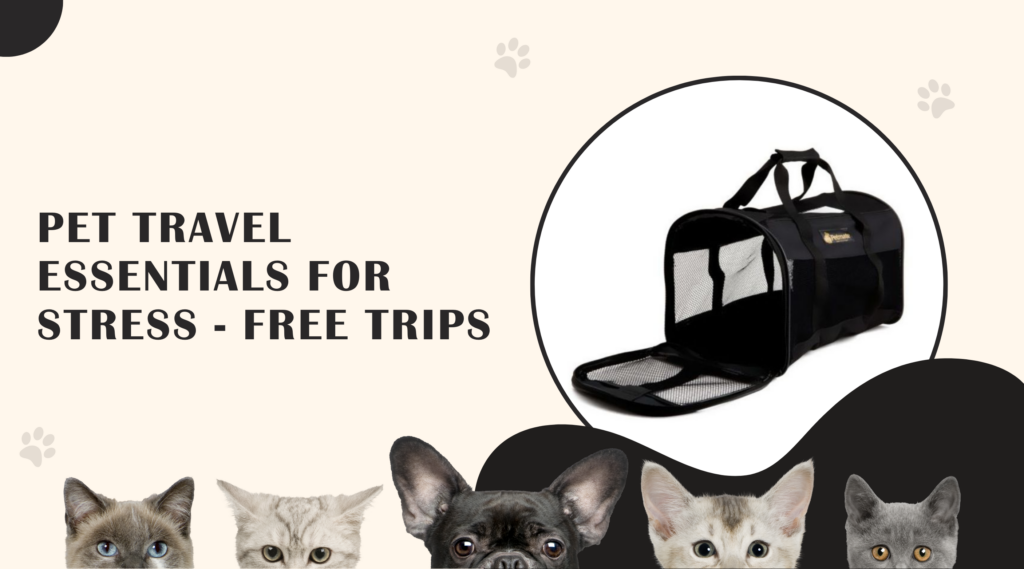 Pet Travel Essentials